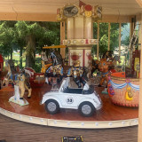 Gros plan sur le manège