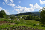 DSC_7041L.jpg