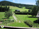 Vue sur la forât de la terrasse