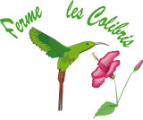 log_colibri.jpg