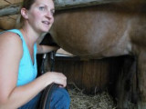 Le Haras du Vercors