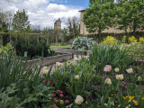 Jardin des simples Couvent des Carmes