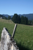 vue du circuit