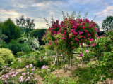Le jardin, pour vous ressourcer et éveiller vos sens.