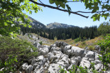 Accompagnateurs en Montagne Pied Vert_Lans-en-Vercors