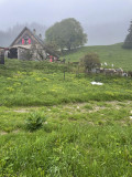 IMG_9138.jpeg