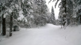 wp_20131120_11_48_56_pro.jpg