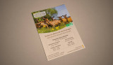 Création de flyer pour la Chèvrerie du Châtelard