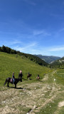 IMG_1740.jpeg