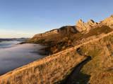 img_8197.jpeg