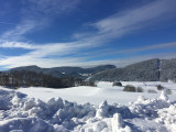 IMG_9609.jpeg