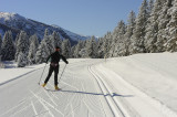 Ski nordique sur les Allières