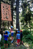 Parcours ludique des Narces - Enquête au fil des arbres_Autrans-Méaudre en Vercors