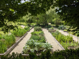 Jardin des simples