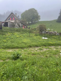 IMG_9138.jpeg