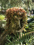 Jardin des Fontaines Pétrifiantes