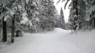 wp_20131120_11_48_56_pro.jpg
