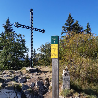 20200908_161302.jpg