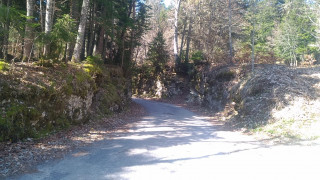 img_20200416_wa0006.jpg
