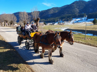 Calèche du Vercors