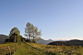 decouverte_arbes_du_sentier_patrimoine.jpg