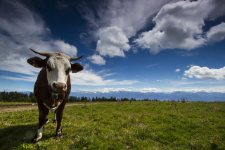 sandrine_matt_booth.jpg sandrine_matt_booth.jpg