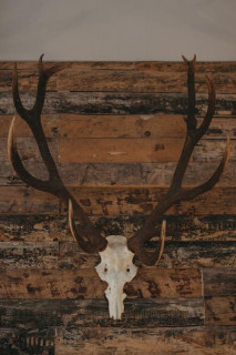 30525288.jpg.jpg 30525288.jpg.jpg