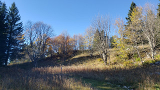 Dans les traces des Résistants à Gève - randonnée_Autrans-Méaudre en Vercors Dans les traces des Résistants à Gève - randonnée_Autrans-Méaudre en Vercors