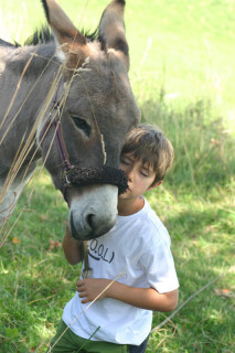 Câlinous soins et mieux être