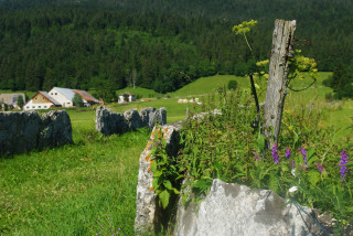 Chemins lauzés Chemins lauzés
