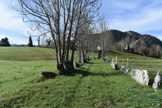 lauzes_2_redimensionne.jpg lauzes_2_redimensionne.jpg