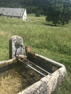 cascade2.jpg cascade2.jpg