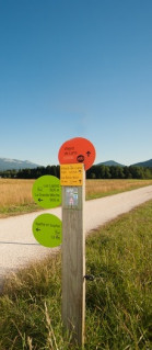 Balisage type - © David Boudin Balisage type