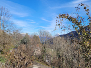 36970680.jpg.jpg 36970680.jpg.jpg