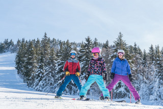 Domaine alpin des Montagnes de Lans