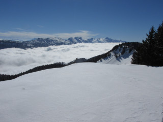 img_1904.jpg img_1904.jpg