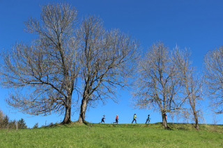 le bois claret - © Foyer de ski de fond le bois claret