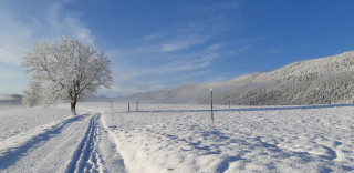 20191115_083922.jpg - © Centre Nordique Sportif Autrans 20191115_083922.jpg