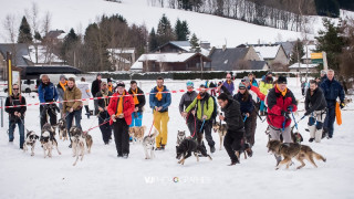 Groupe de personnes en séjour ski avec des chiens devant le gîte - © AFRAT Groupe de personnes en séjour ski avec des chiens devant le gîte