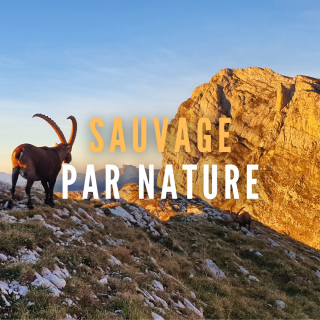 Randonnées Naturalistes