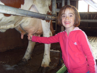 Ferme des Marmottes - © Ferme des Marmottes Ferme des Marmottes