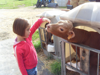 Ferme des Marmottes - © Ferme des Marmottes Ferme des Marmottes