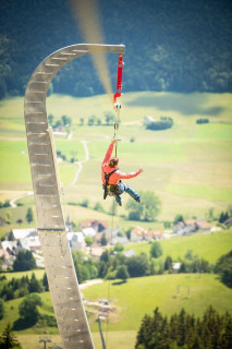 zipline_eteapidae.jpg zipline_eteapidae.jpg
