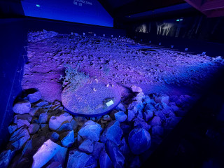 Musée de la Préhistoire du Vercors_Vassieux-en-Vercors