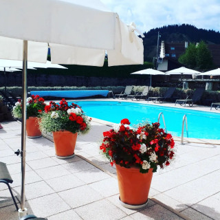 Piscine - © Hôtel Restaurant Les Tilleuls Piscine