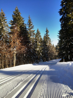 pistes de fond