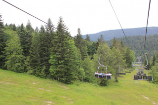 img_8787.jpg
