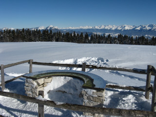 img_2972.jpg