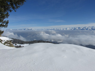 img_1906.jpg