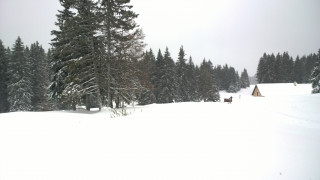 wp_20131120_11_47_51_pro.jpg